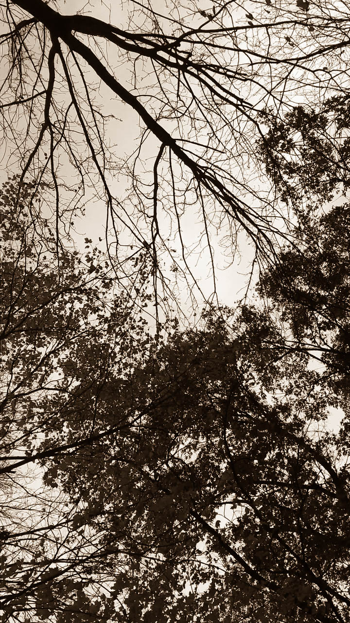 01fbc8aa148d8d71555b1a206f34d948fd2dab064c-2